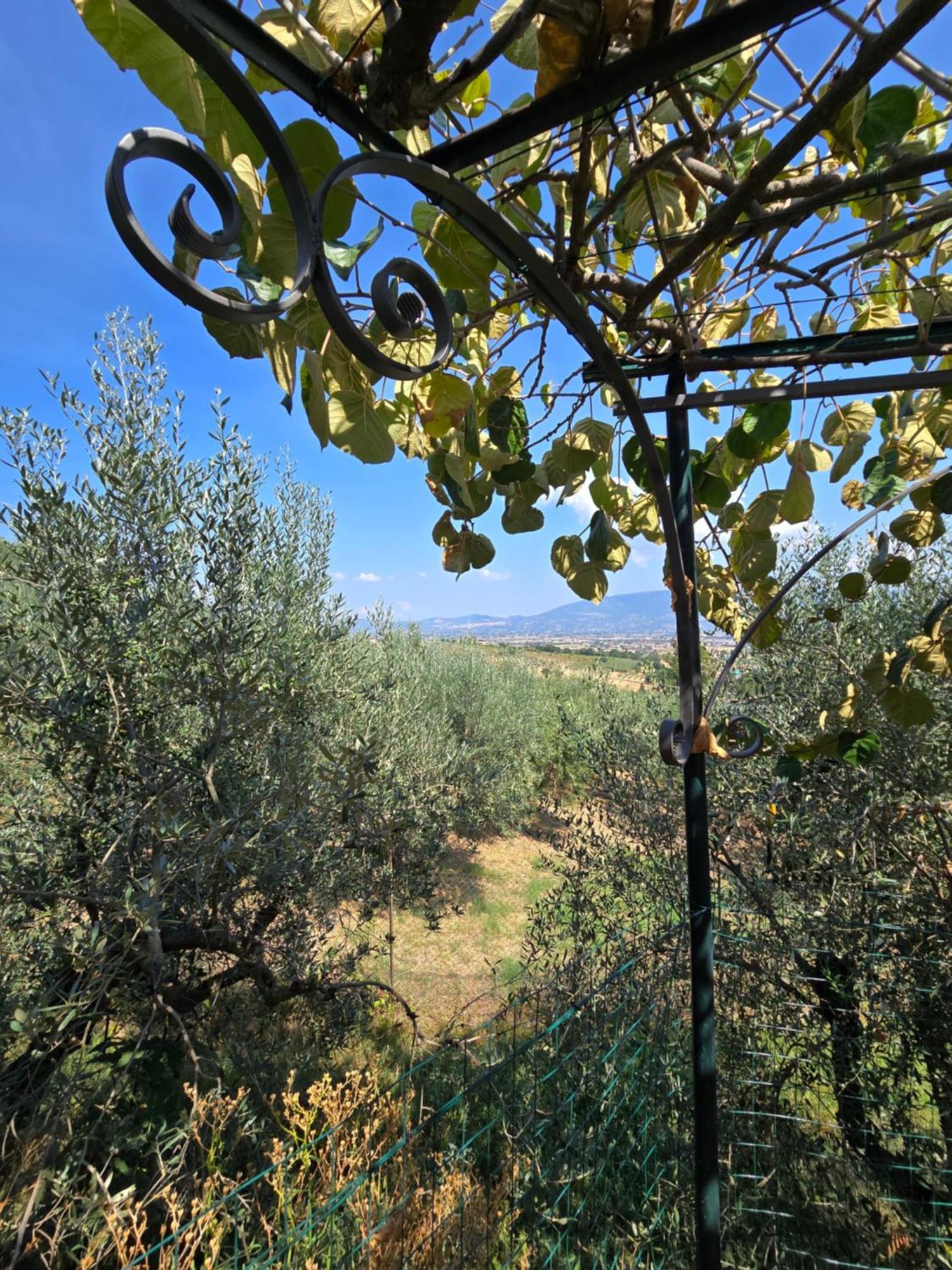 Villa Dimora Kalipe Limigiano Esterno foto