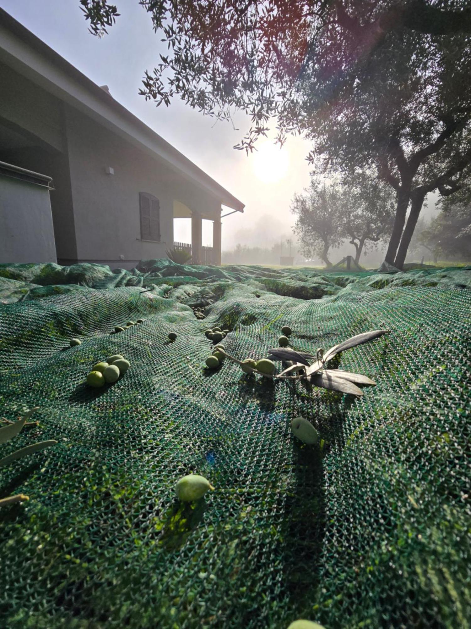 Villa Dimora Kalipe Limigiano Esterno foto